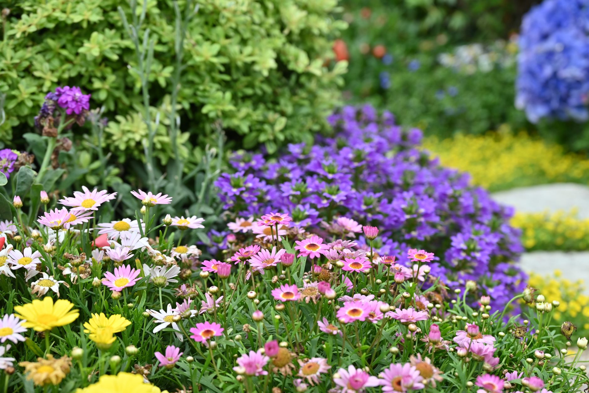 RHS Chelsea Flower Show Inspired: How to Give Your British Garden a Summer Glow-Up on a Budget